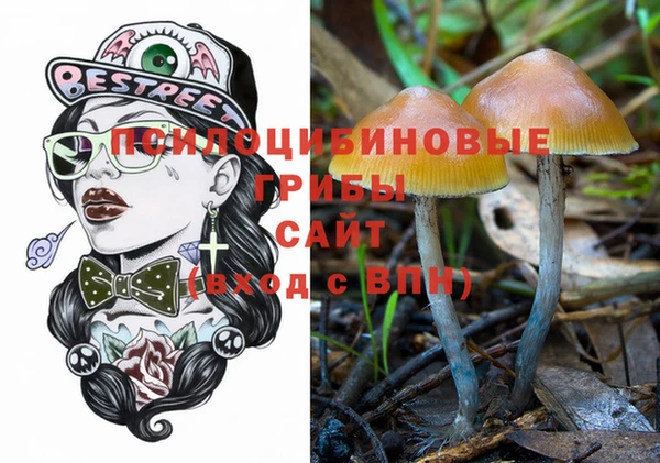 прущая мука Арсеньев