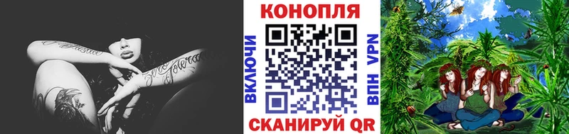 Конопля Bruce Banner  Дыгулыбгей 
